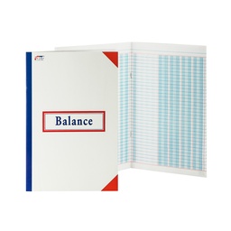 [00289-BALANCE] CUADERNO PRACTICA CONTABILIDAD FAST BALANCES 20 HOJAS DE 4 COLUMNAS (24)