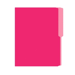 [01242-ROSADO] FOLDER FLASHFILE CARTA ROSADO