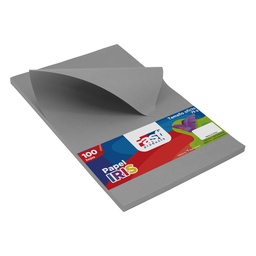 [16620-GRIS] PAPEL IRIS FAST 75 GR. PX100 OFICIO GRIS