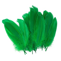 [11768-VERDE] PLUMAS FAST GRANDES BOLSA CON 24U. VERDE